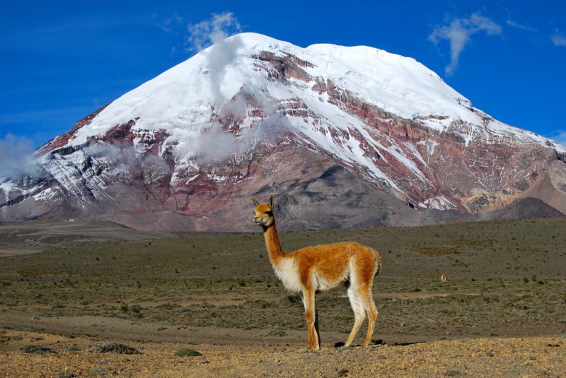 Sopka Chimborazo v Ekvádoru